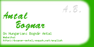 antal bognar business card